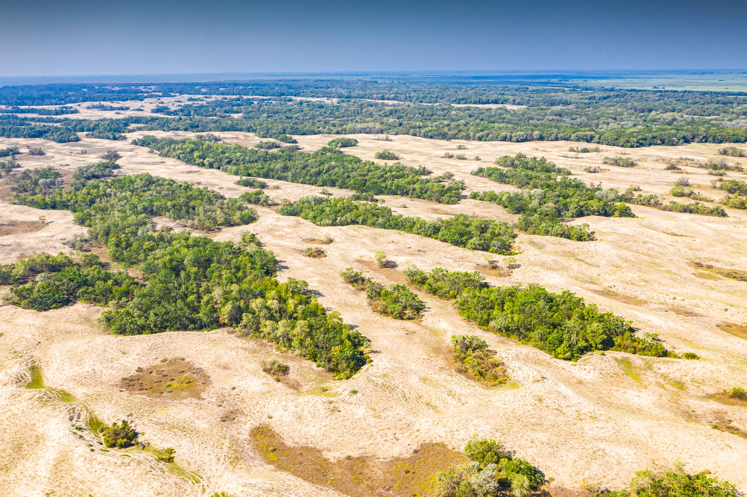 Aerial view over Letea Forest from Danube Delta in Romania during a sunny day