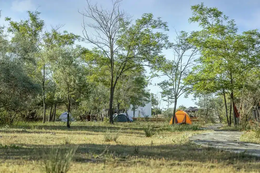 Zonă de corturi - Dolphin Camping